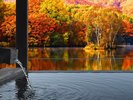 紅葉景色に包まれる『神々が宿る島・厳島』天然温泉×宮島で過ごす秋のリゾート旅