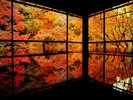 世界遺産『厳島神社』を望む高台に位置した自家源泉天然温泉が自慢の温宿