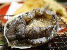鮑の踊り焼き