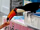 花鳥園