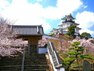 春掛川城