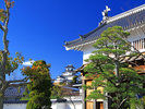 冬掛川城