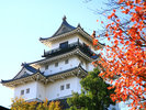秋掛川城