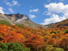 姥ヶ平の紅葉
