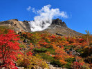 茶臼岳の紅葉