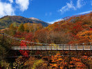 弁天吊り橋