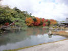 京都　嵐山「天龍寺」。すみや亀峰菴から車で約４０分。