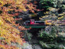 「トロッコ列車」嵐山と亀岡を結ぶ観光列車。四季折々の風景を楽しめます。