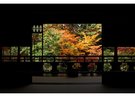 近代の新潟を代表する豪商の別荘。庭園の紅葉が綺麗です。