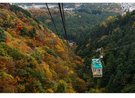 越後平野を一望できる弥彦山ロープウェイ。