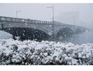 日本一の大河、信濃川にかかる万代橋は新潟のシンボル。