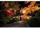 日本夜景遺産にも登録された弥彦公園のライトアップ。