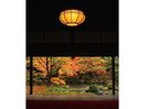 北方文化博物館は新潟の歴史と庭園の美しさを感じられます。