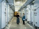 新潟駅からも近い今代司酒造では酒蔵見学や試飲も楽しめます。