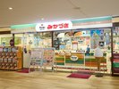 新潟B級グルメのみかづきのイタリアン。バスセンター内のみかづき万代店まで徒歩3分。