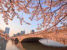 やすらぎ堤沿いの桜並木と万代橋。