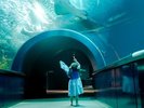マリンピア日本海はお子様から大人まで楽しめます。