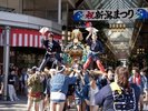 新潟市の夏の風物詩、新潟まつり。