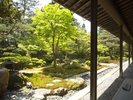 素晴らしい庭園が広がる北方文化博物館。
