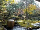 北方文化博物館の紅葉シーズンはライトアップがされ人気スポット。