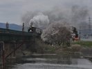 C57-180で定期運行しているSLばんえつ物語。磐越西線の風光明媚な景色が楽しめます。