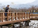瓢湖は、昭和29年、国の天然記念物に指定され、人と野鳥が共存できる貴重な野鳥保護のメッカとなりました。