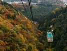 紅葉シーズンは特に見ごたえ抜群の弥彦山ロープウェイ。