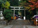 新潟市内のパワースポットでも有名な弥彦神社。