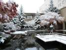 雪景色の中庭