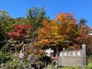 竜頭の滝