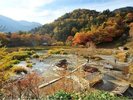 秋景色