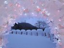 奥日光湯元温泉雪まつり