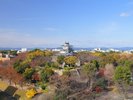 【浜松城】