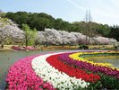 【はままつフラワーパーク】