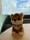 ホリデイ・イン京都五条のマスコットMochiのぬいぐるみ♪