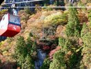 *【御在所ロープウェイ】四季折々の景色をお楽しみください♪