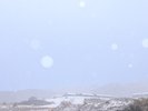 雪の日のサンヴィ