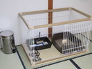 【お貸出し用備品】中型犬1頭・小型犬2頭まで利用できるケージもございます(一例)※完全予約制