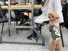 【地獄蒸し工房 鉄輪】外のテラス席はワンちゃんとのお食事OK♪(一例)