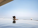 ◆展望露天風呂「阿多美」|山や川、海が織りなす、古くから熱海の美観をつくってきた景色を愉む。