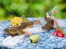 ◆夕食一例(六つ喜)|旬の食材を贅沢に使った、五感が喜ぶ食体験 ※写真は一例