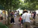 夏の週末限定「カブト虫童夢」