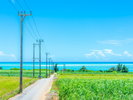 宮古島の街風景 イメージ