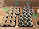 【自慢・日替り】一品小鉢。もちろん全て手作りです。