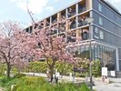 【ポテルとサクラ】桜シーズンの宿泊ならポテル!梅小路公園へ昼でも夜でも桜を見に行けちゃいます◎