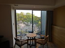 【ポテルとサクラ】ガーデンツインのお部屋からの桜の様子!