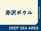 �yDEEP SEA AREA�z�ԑ�{�E���@-Akazawa Bowling-