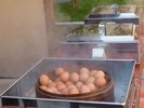 【地獄窯】立ちのぼる湯けむりの中で食材を蒸し上げる、温泉地ならではの体験を。