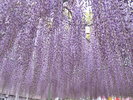 【竹成大日堂】約500体の五百羅漢が鎮座し表情がすべて異なる事で有名(当館より車で約10分)