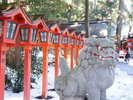 【椿大神社】全国から毎年多くの参拝者が訪れる由緒正しき神社(当館より車で約30分)